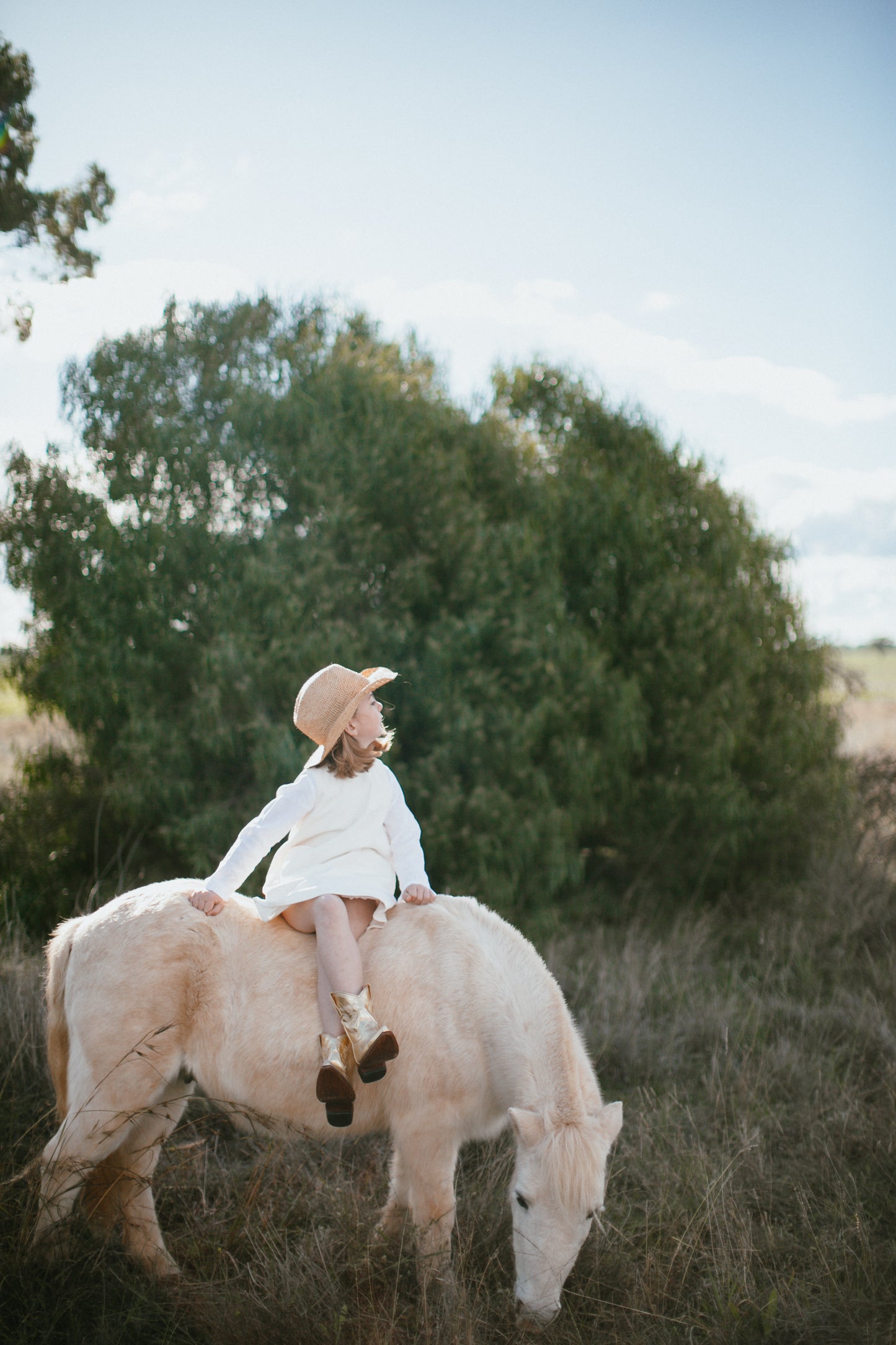 Half Moon Ranch Hat