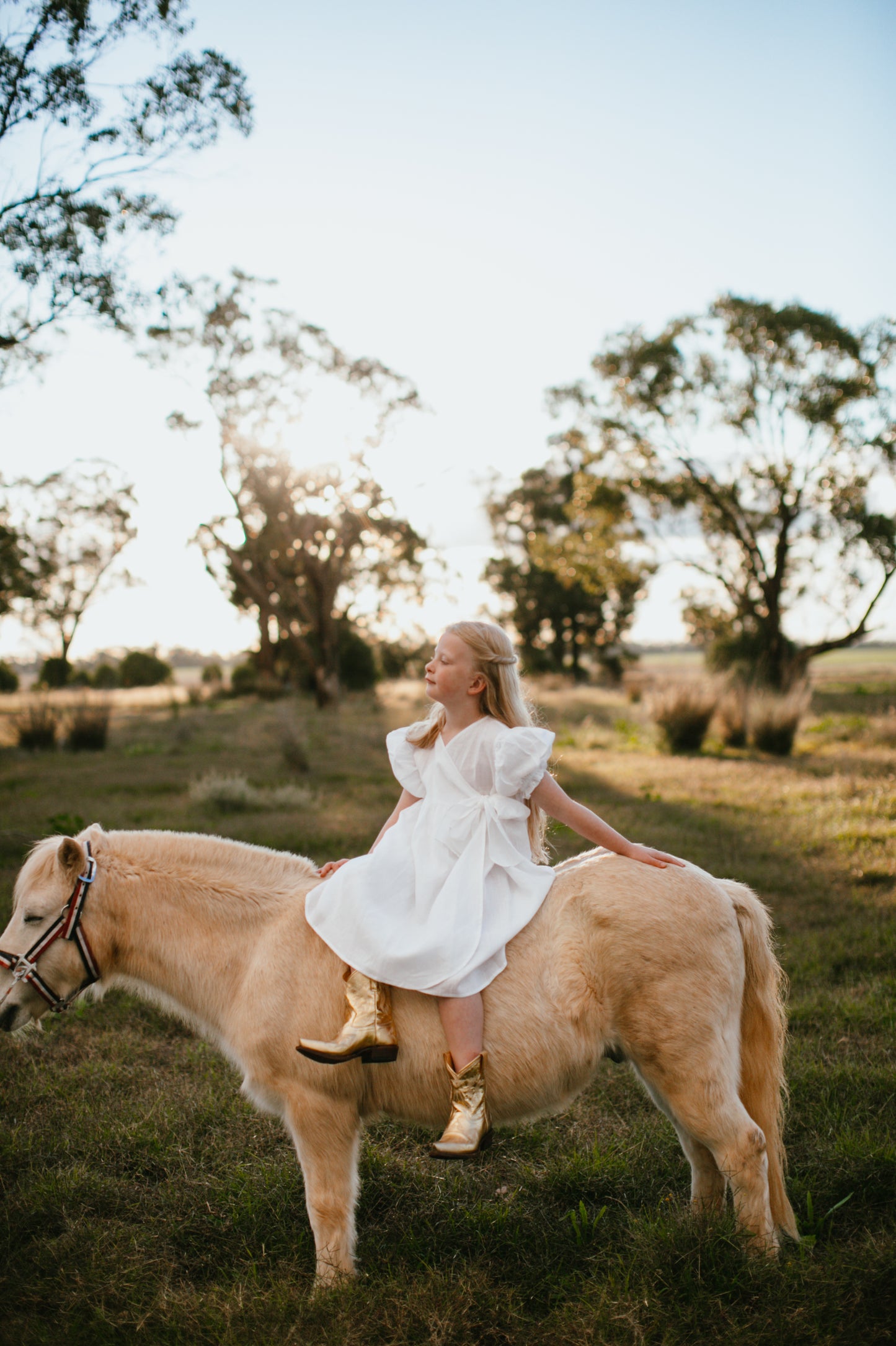 Dolly Dress