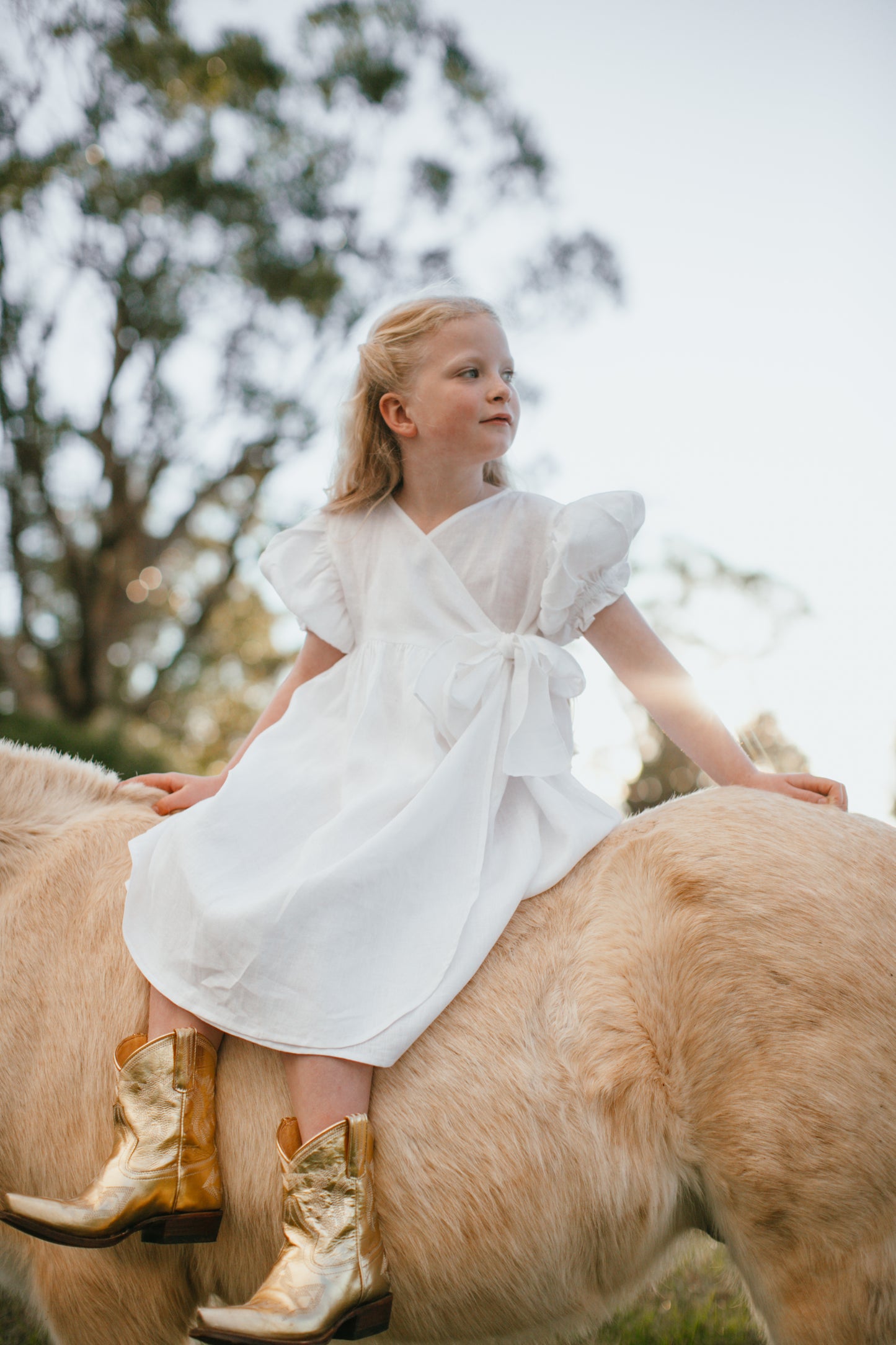 Dolly Dress
