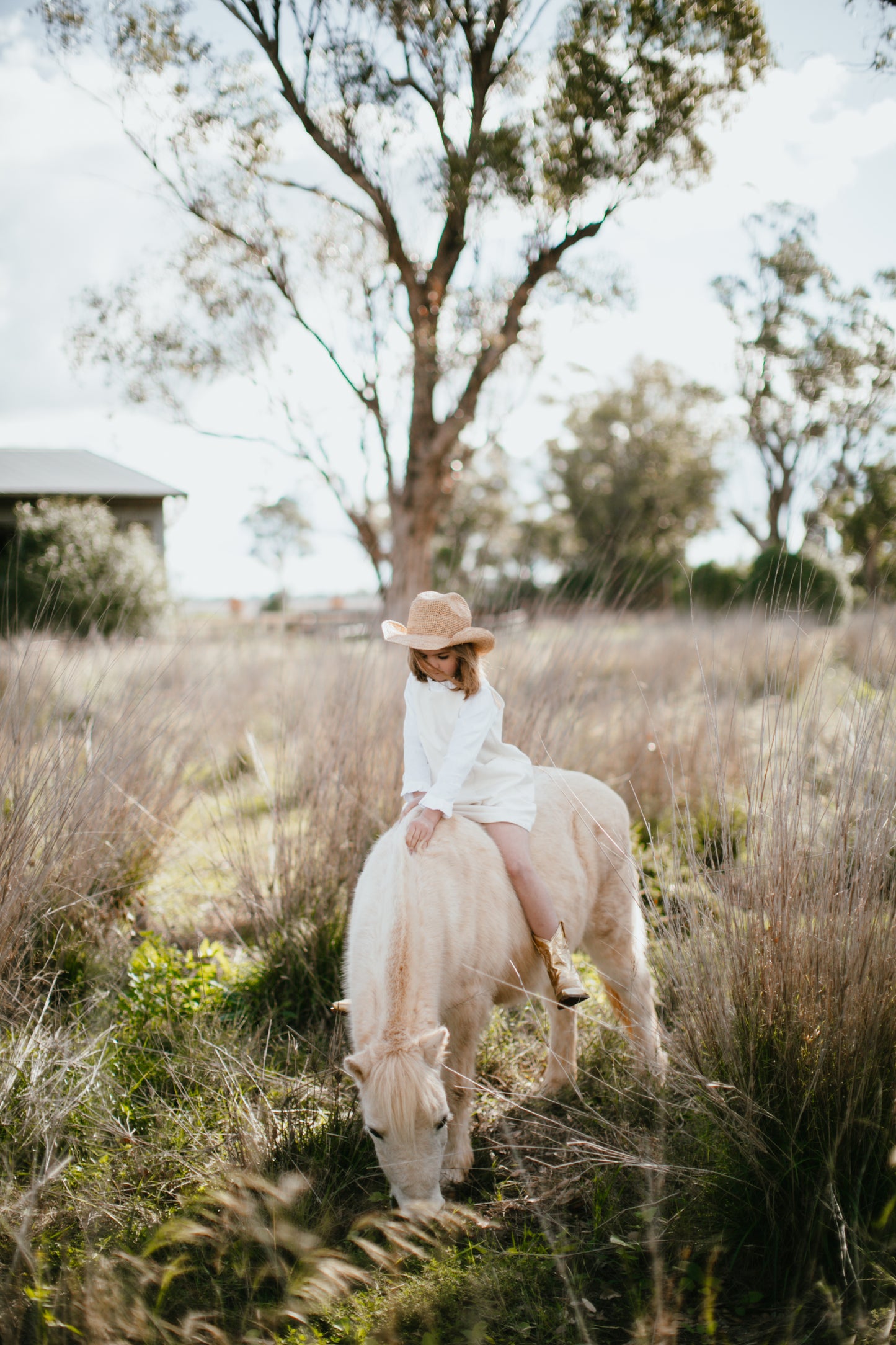 Half Moon Ranch Hat