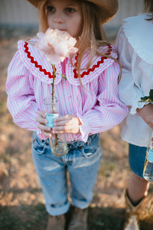 Gigi Blouse {Pink Stripe}