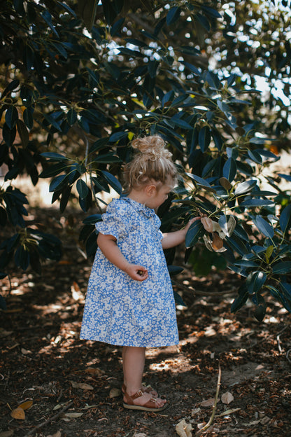 Patsy Dress {Betsy Blue}