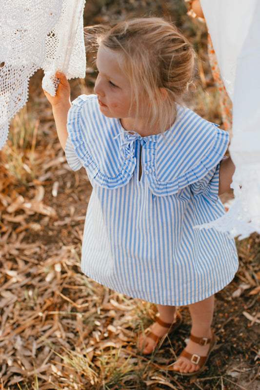 Wonderland Dress {Blue Stripe}