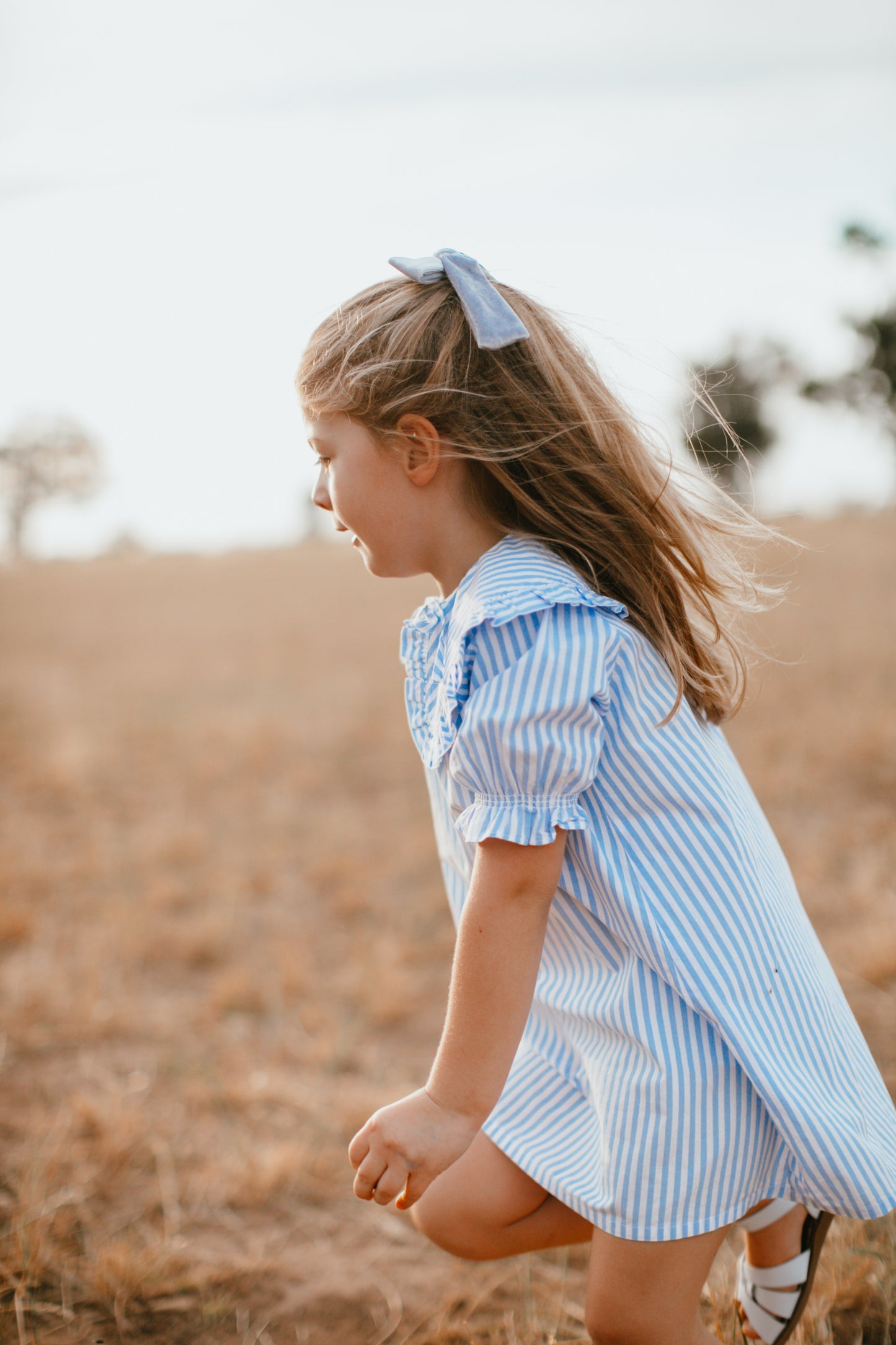 Wonderland Dress {Blue Stripe}