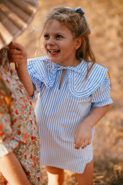 Wonderland Dress {Blue Stripe}